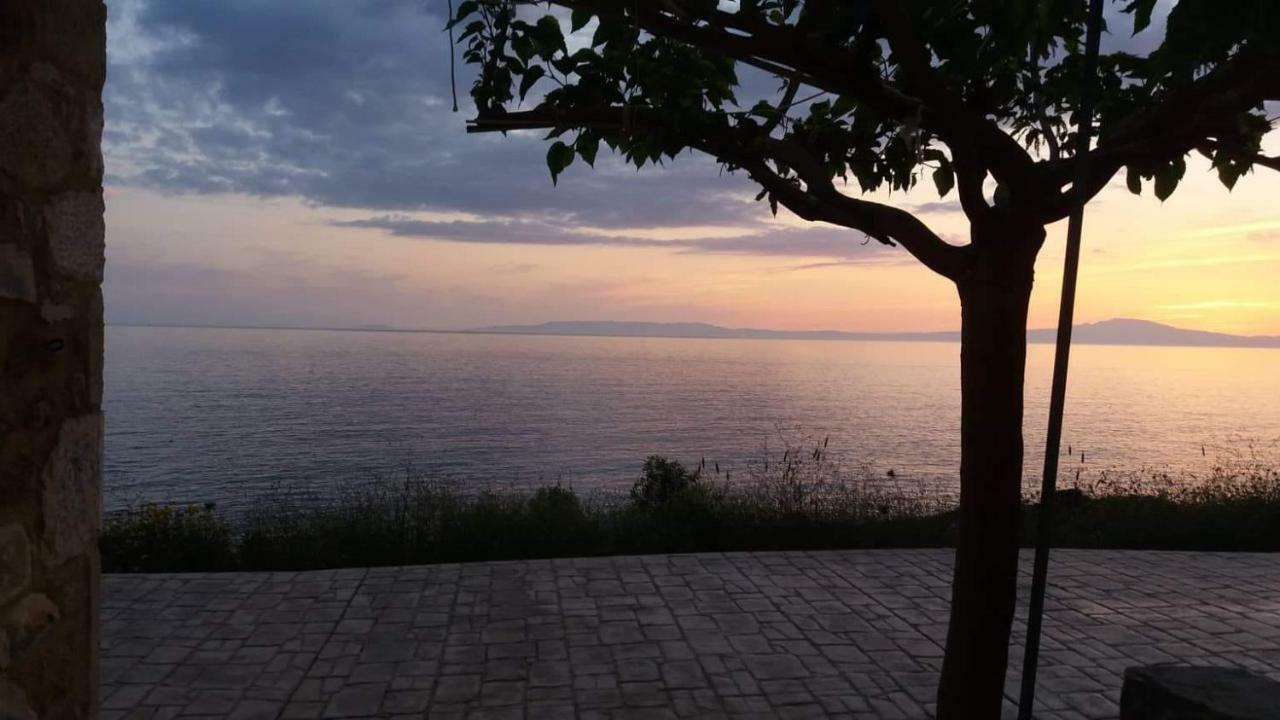 Apartmán Pogonitsa Kotronion  Exteriér fotografie